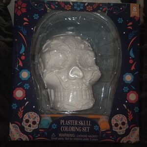 Plaster Skull Coloring Set - White
